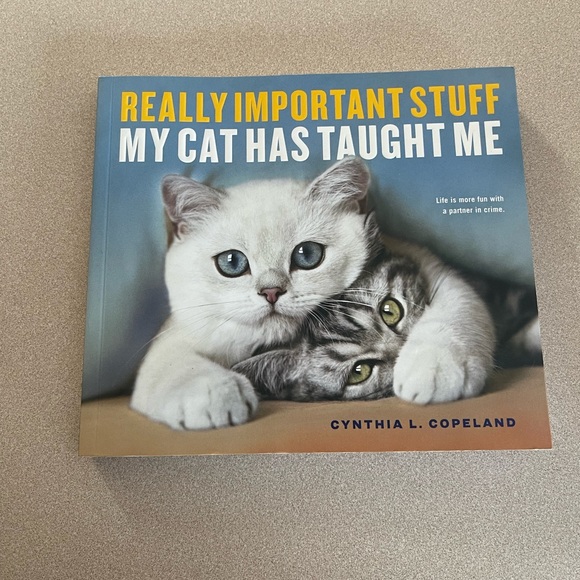 Other - 🎉🎉HP🎉🎉 Really Important Stuff My Cat Has Taught Me Book